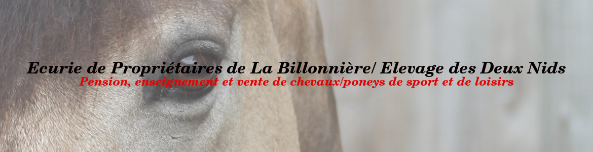 Ecurie de Propriétaires de La Billonnière/ Elevage des Deux Nids
